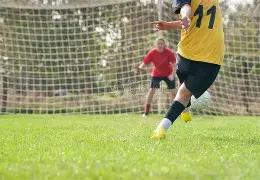 曼城官方宣,哈兰德续约,英超赛场再,神殿娱乐官网,神殿娱乐平台,神殿娱乐体育,神殿娱乐A超凡国际