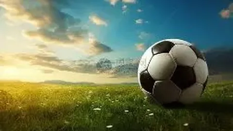 神殿娱乐 产品 113146 cvo