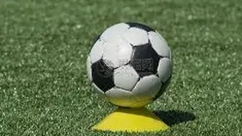 神殿娱乐 资讯 100619 p5w