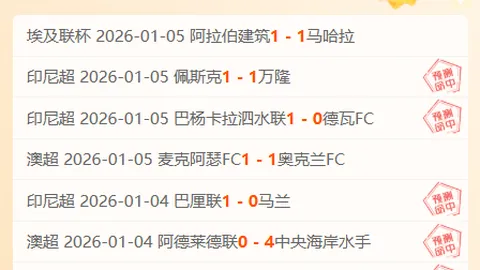 立陶宛芬兰对决，凯里宁迅速解围，波赫扬帕洛奠定胜局